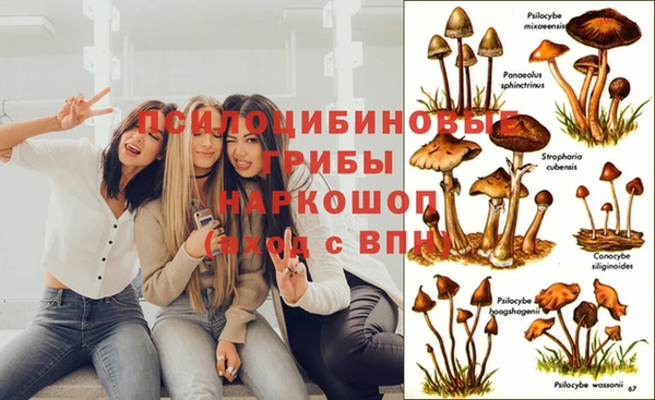 прущий лед Алексин