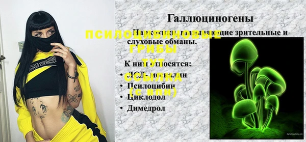 прущий лед Алексин
