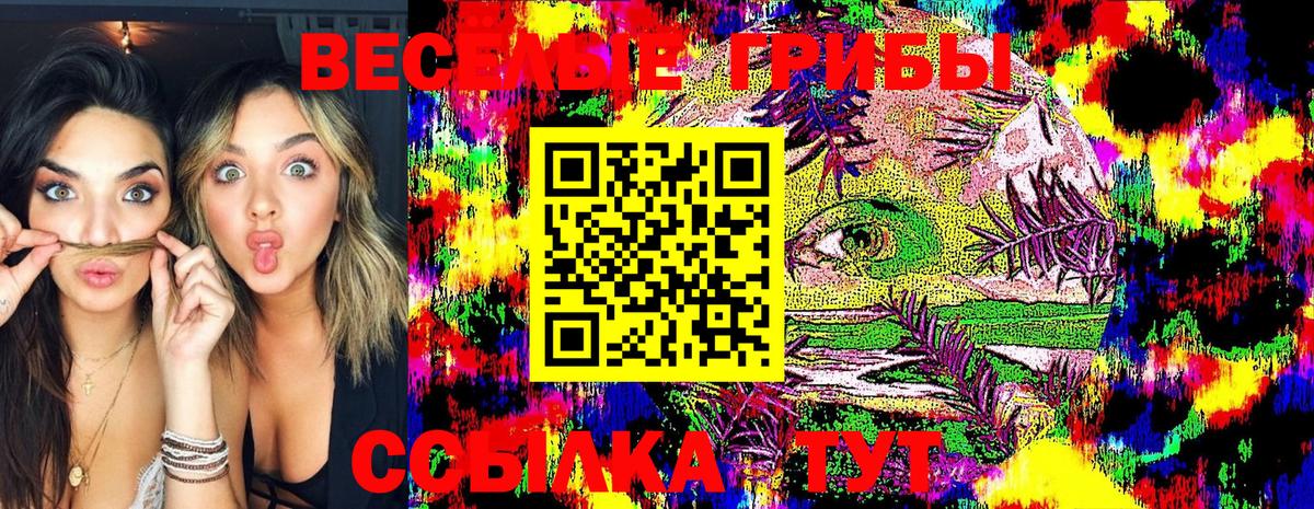 Галлюциногенные грибы Psilocybine cubensis Мегион