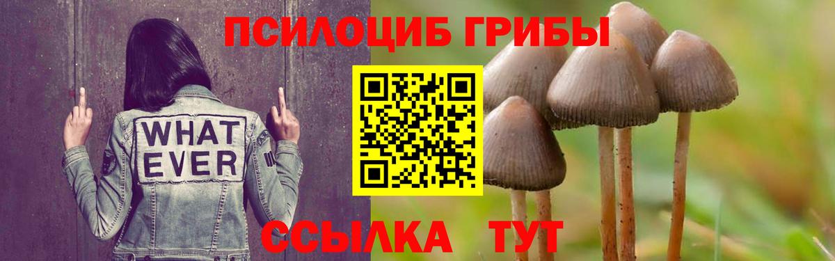 Псилоцибиновые грибы мицелий  Вход с VPN  Мегион 